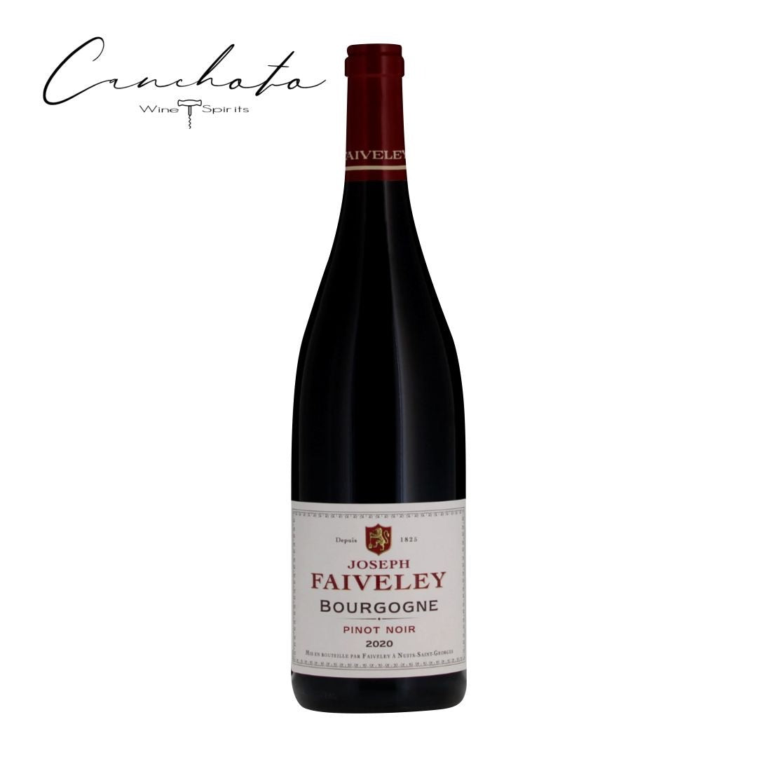 Domaine Faiveley Bourgogne Pinot Noir 2021 0,75lt