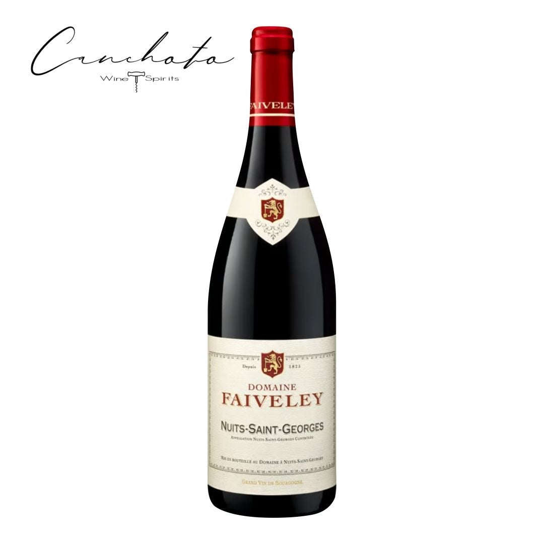 Domaine Faiveley Nuits - Saint - Georges 2019