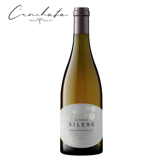 Capensis Silene Chardonnay 2020